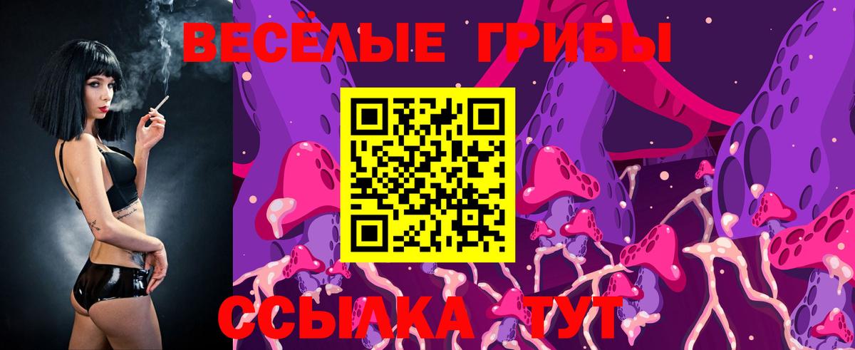 Миллерово  что такое наркотик  Вход с VPN  Галлюциногенные грибы ЛСД 